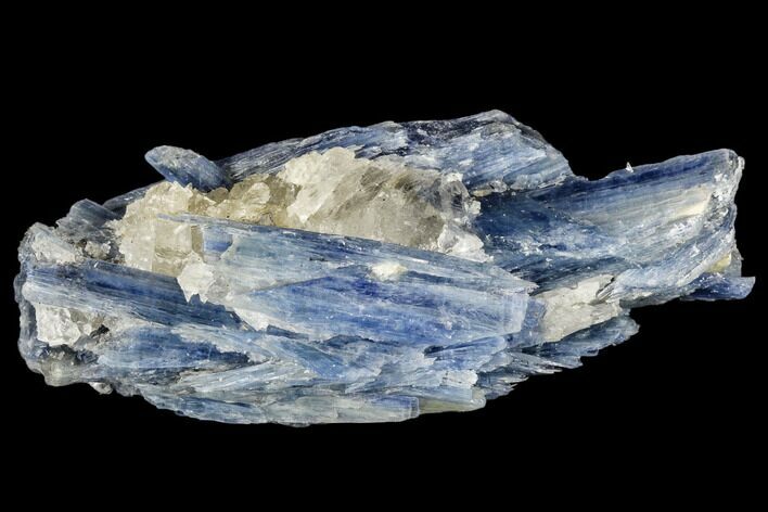 Vibrant Blue Kyanite Crystals In Quartz - Brazil #113467